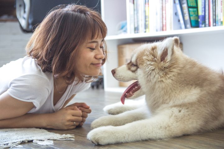 Bringing a Pet Home for the First Time: Things to Know