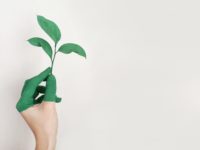 Sustainability at Home: Save Money and the Environment