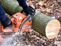 Top Tips To Easily Choose The Ideal Chainsaw For Hardwood