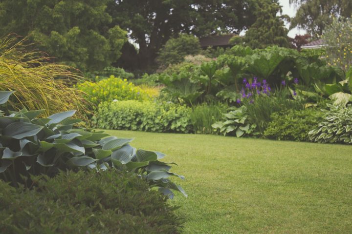 4 Simple Ways to Give Your Garden a Fresh Look