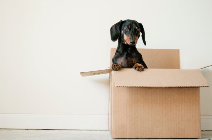 Moving Home? Here’s What You Need to Think About