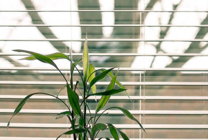 6 Great Reasons to Brighten Up a Property With a Visit to the Blinds Experts in Sydney