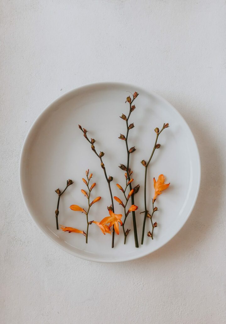 A Guide to the Various Types of Bowls