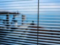 The Main Reasons To Install Motorised Blinds for Your Kiwi Home