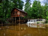 Exploring Yellowhammer State: 10 Must-Visit Attractions in Alabama